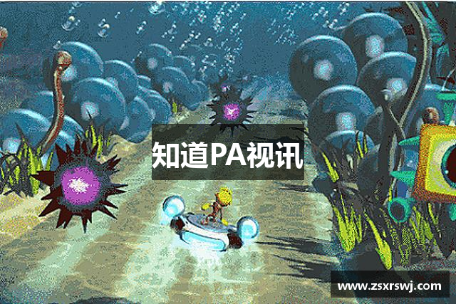 知道PA视讯